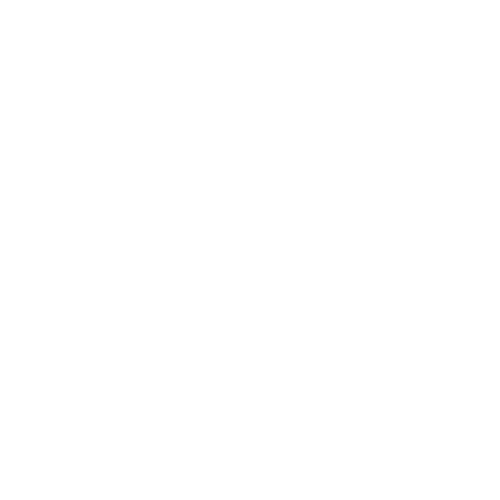 スカイウォーカーロゴ